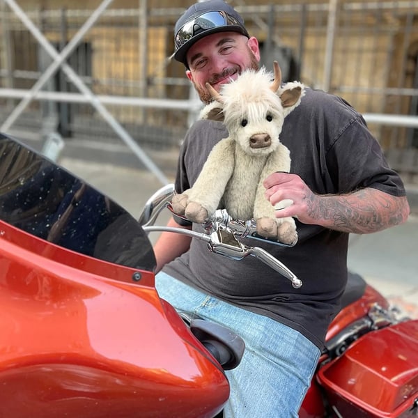 Rimoby™ Highland Cow Plush Toy